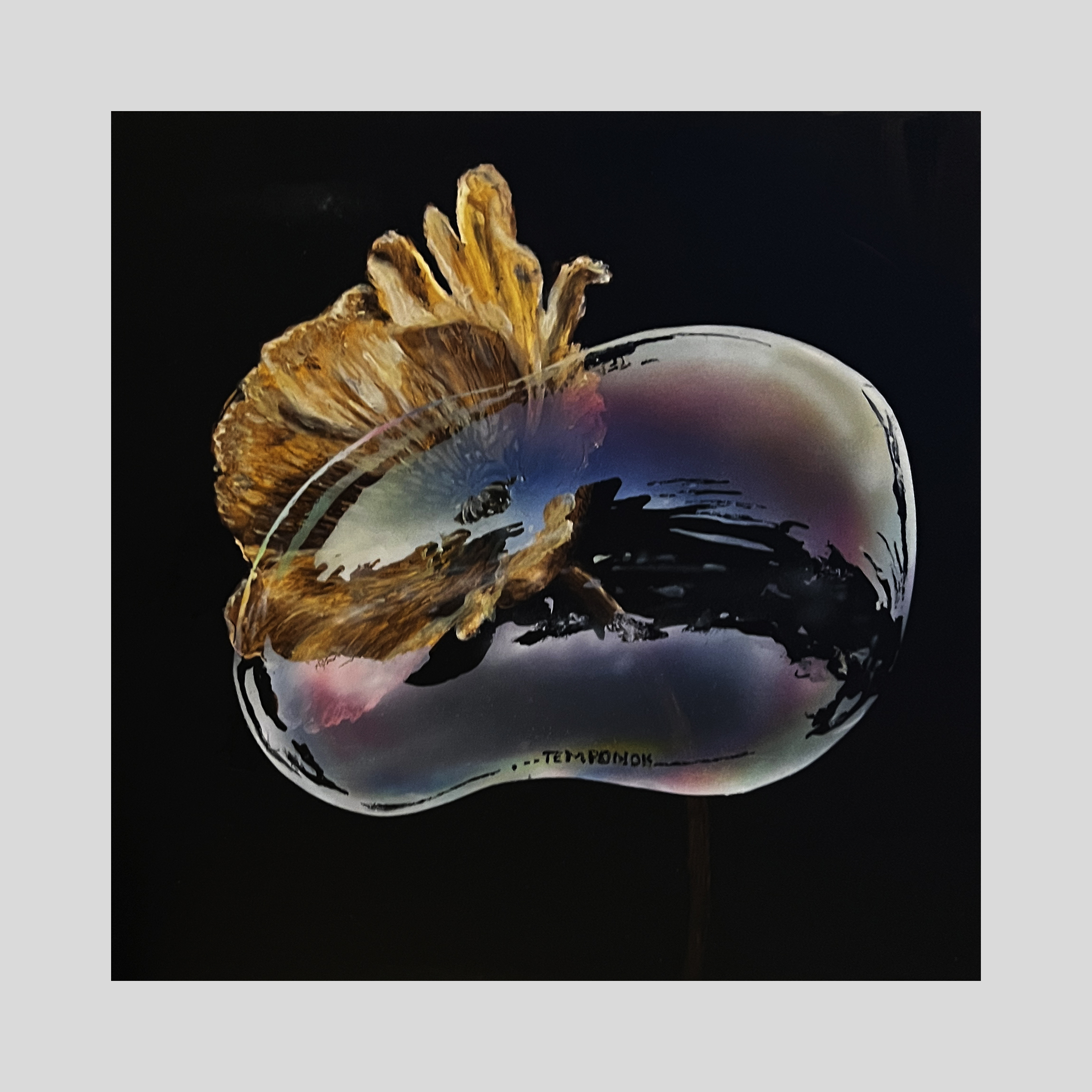 Catalogue – Pierre Froideval